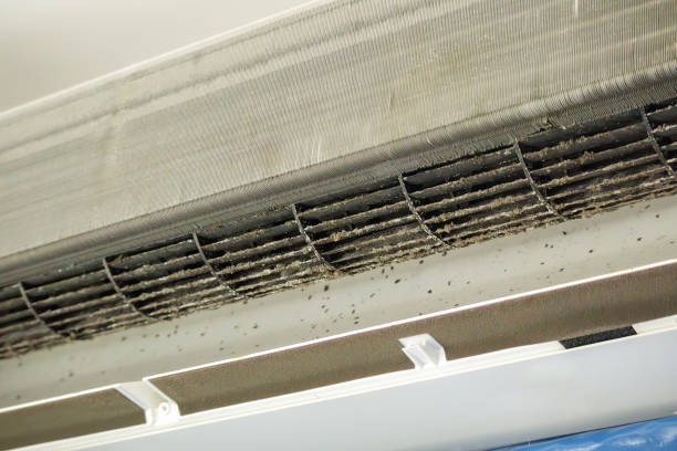 Best Local Air Duct Cleaning Services  in White Rock, NM